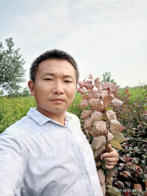 孩子爸的第一张照片--明溪交友网